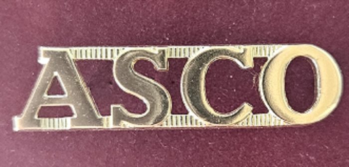Australian Services Canteens Organisation (ASCO) - Shoulder Title (Swann & Hudson)