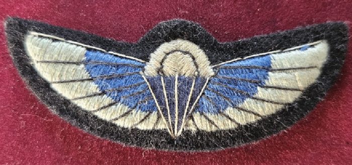 SASR - Para Wings - Obsolete Padded Version