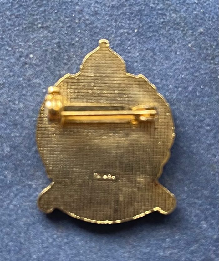 Thirty Niners Association - Membership Badge - Life Member - Image 2