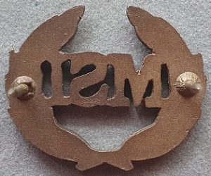 RAAF – Military Skills Instructor (MSI) qualification badge – Welcome ...