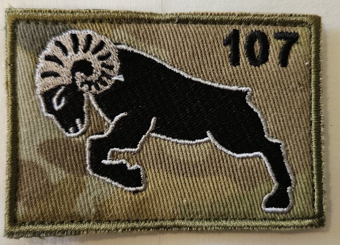 Barracks Patch - 107th Field Battery Royal Australian Artillery Multicam Patch