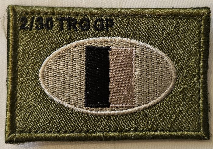 Barracks Patch - 2/30 Training Group Subdued Patch