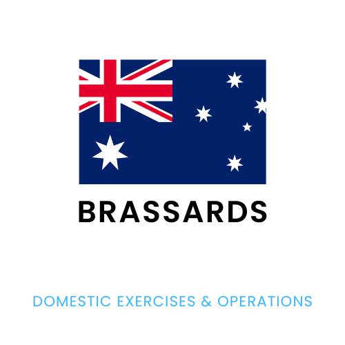 Brassards - Domestic Exercises and Operations