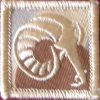8th/9th Battalion (Royal Australian Regiment) - Unofficial Patch - Tan