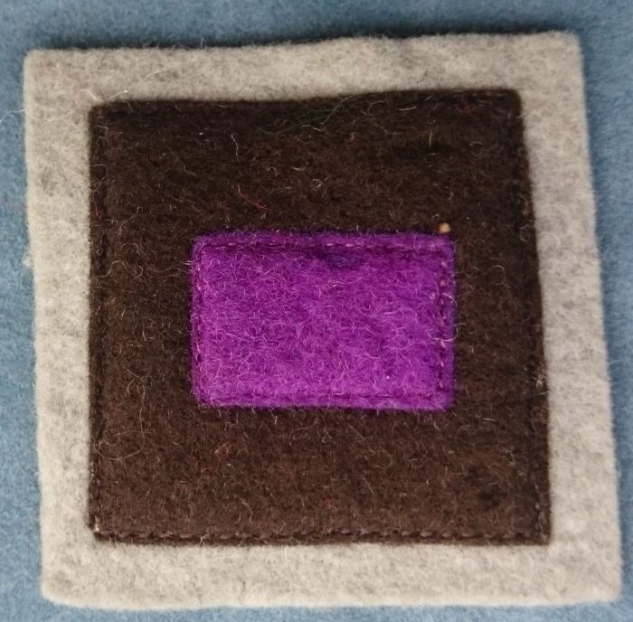 Colour Patch - 107th Australian General Hospital