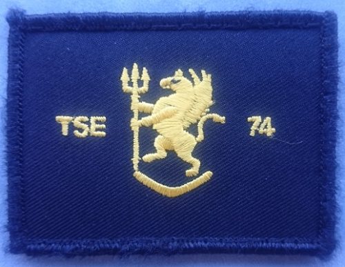 RAN - TSE 74 Patch