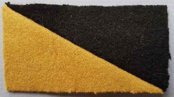 WW1 Colour Patch - 10th Light Horse Regiment AIF