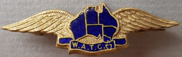 WATC (Womens Air Training Corps) Brass and Enamel Wings - World War 2