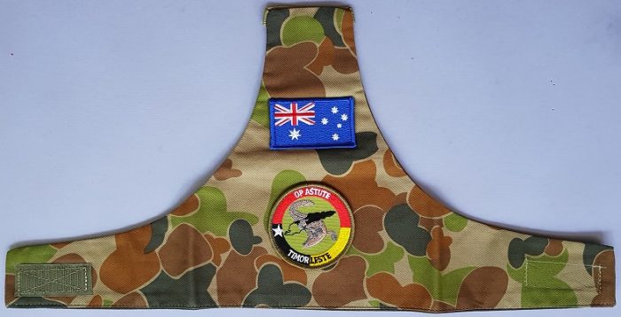 Brassard - Operation Astute (East Timor) (DPCU)