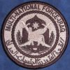 Multi-National Force Iraq - Deployment Patch - Tan