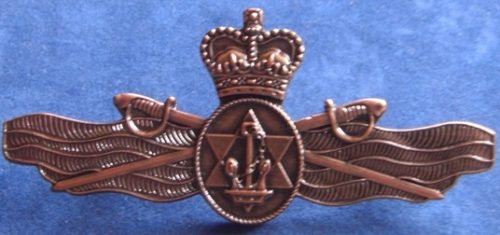 RAN - Supply Charge Qualification Badge - Bronze (Early issue)