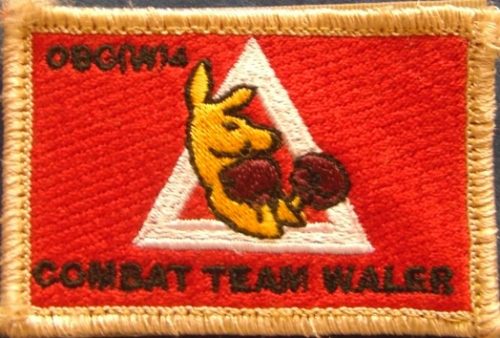 Overwatch Battle Group (West) - Rotation 4 (Combat Team Waler) - Deployment Patch