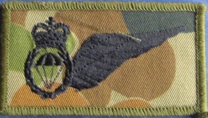 Army - Parachute Jump Instructor (PJI) patch - DPCU (Variation) - Image 2