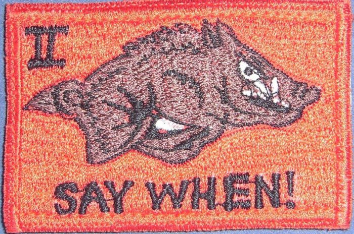 2 Troop, 'A' Squadron 2/14 LHR - OBG(W)-4 -  Deployment Patch - Image 2