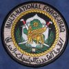 Multi-National Force Iraq - Deployment Patch - Image 2